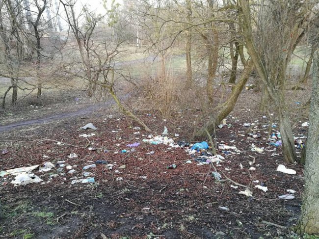 «Для чого робити з гарного парку сміттєзвалище?» - «крик душі» від лучанки