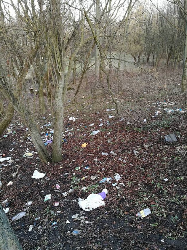 «Для чого робити з гарного парку сміттєзвалище?» - «крик душі» від лучанки