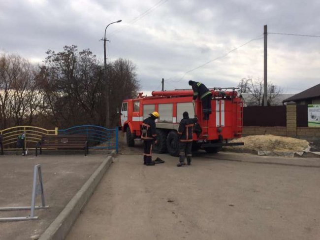 У Луцьку біля Стиру – пожежа. ВІДЕО