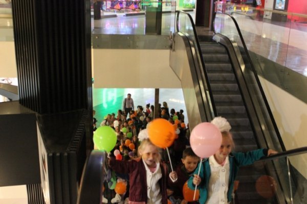 У Луцьку стартував кінофестиваль