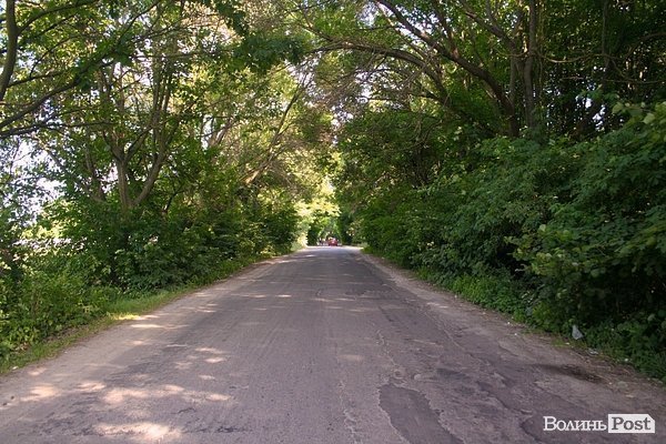 Зелений тунель