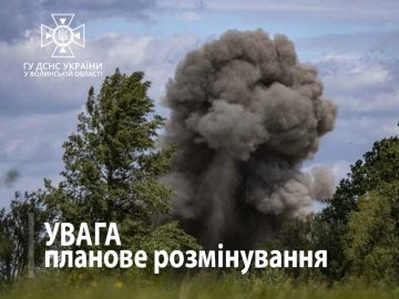 Можливі звуки вибухів: піротехніки знешкоджуватимуть боєприпаси, які на днях знайшли у лісі на Волині