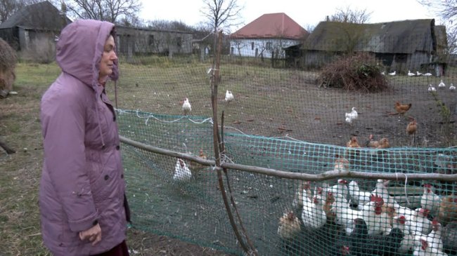 Волинянка перемогла в Радіодиктанті національної єдності