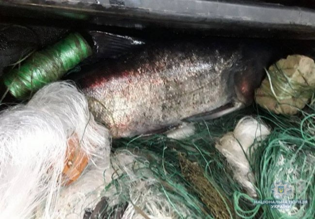 На Волині зловили двох браконьєрів 