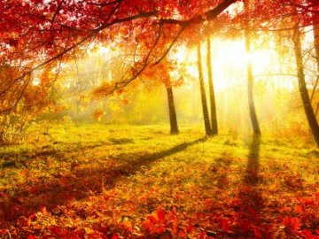 Із серпанками та туманами: синоптик розповіла про погоду у найближчі дні