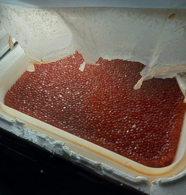 Через волинський кордон намагалися провезти майже центнер російської червоної ікри та крабового м’яса