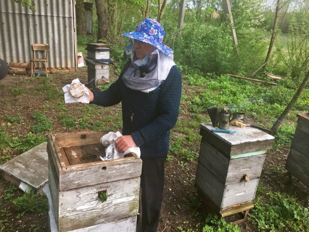 Нематеріальна культурна спадщина: як у селі біля Луцька займаються бортництвом. ВІДЕО, ФОТО