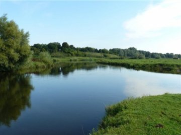 Річка Стир непридатна для купання, — волинський посадовець. ВІДЕО