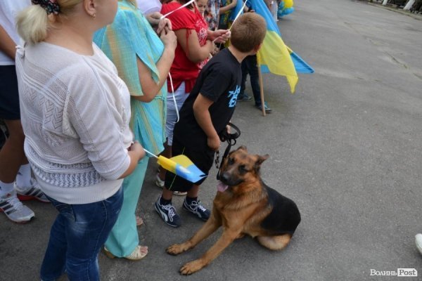 Шейк сумував за господарем майже два місяці