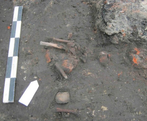 Що розкопали археологи у Камені-Каширському. ФОТО