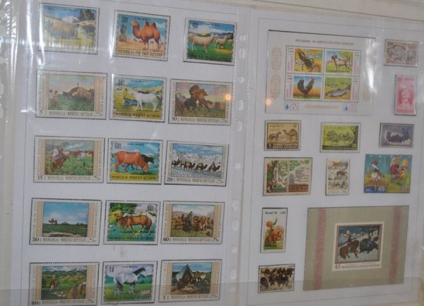 Виставка поштових марок «Свійські тварини» у Луцьку. ФОТО