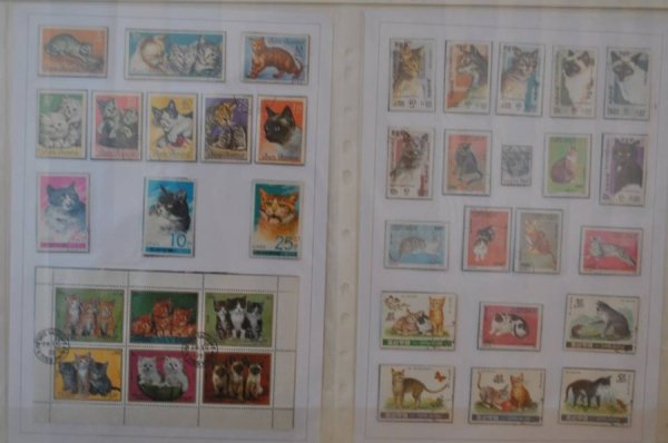 Виставка поштових марок «Свійські тварини» у Луцьку. ФОТО