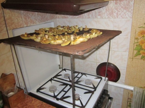 Грибник із Волині заробляє по 12 тисяч в сезон. ФОТО