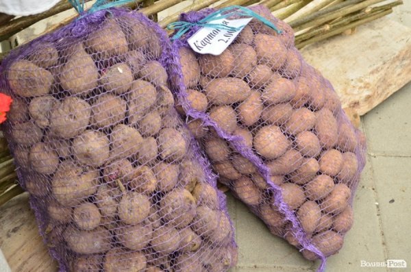 ПТУ Волині презентують: одяг, їжа, меблі та навіть мангал. ФОТО 