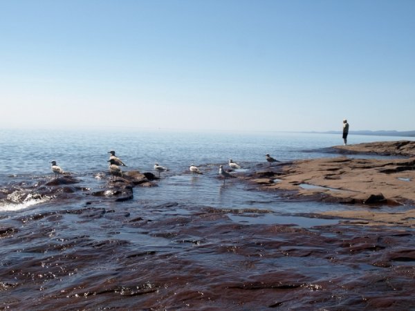 Фотовиставка Тетяни Полуектової