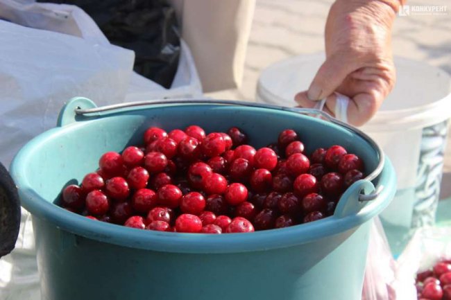 За скільки можна придбати ягоди у Луцьку 