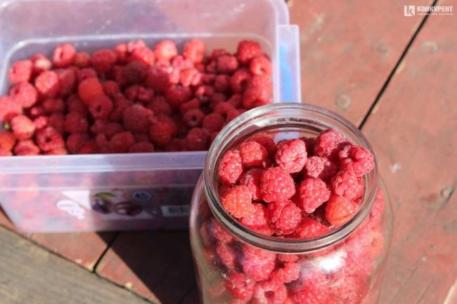 За скільки можна придбати ягоди у Луцьку 