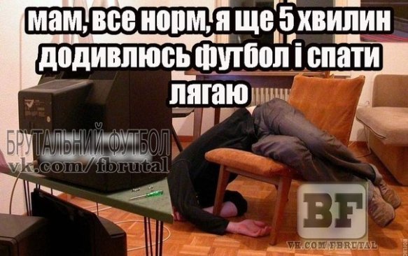 Боротьба зі сном, політ ван Персі та інше: фотожаби про Чемпіонат світу