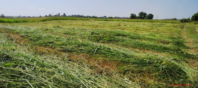 Волинський фотограф зафіксував покоси на Гнідавському лужку