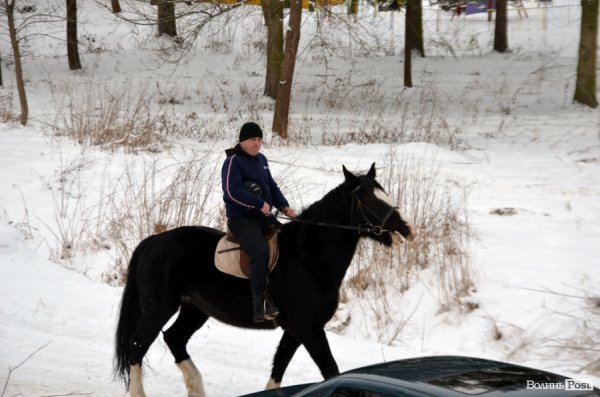 Лід, ополонка та Йорданська вода: Водохреще у Луцьку 