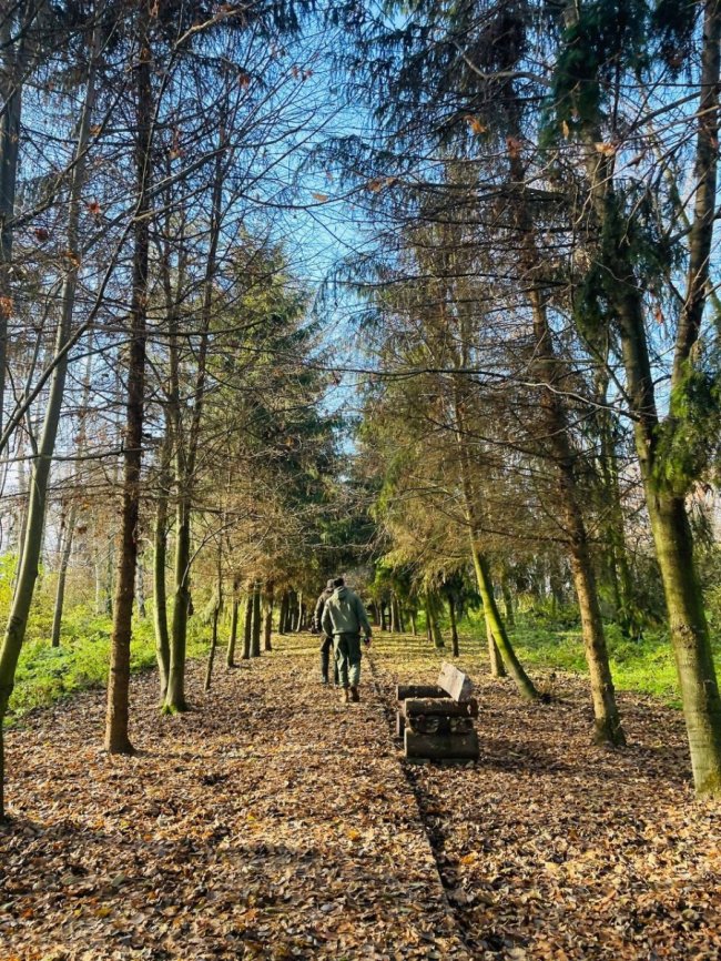 Болота біля Шацьких озер перетворюються на ліс, науковці хочуть втручатися. ФОТО