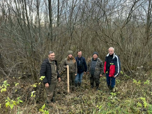 Болота біля Шацьких озер перетворюються на ліс, науковці хочуть втручатися. ФОТО