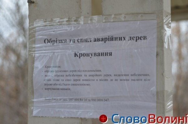 Чистка Теремнівських ставків у Луцьку «стоїть». ФОТО