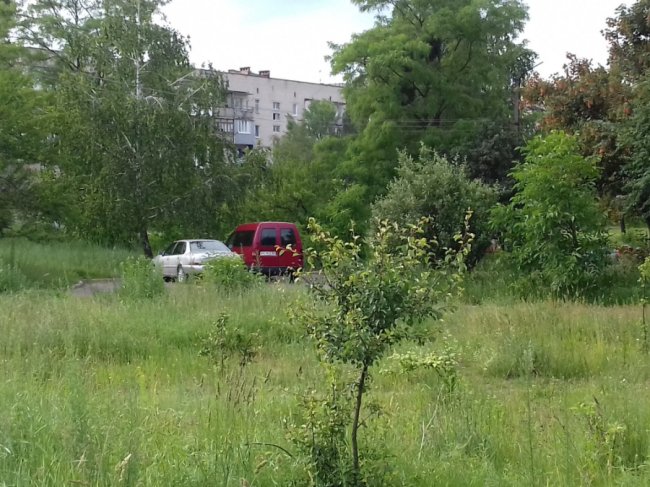 «Суцільний чагарник», – волинянка про своє місто. ФОТО