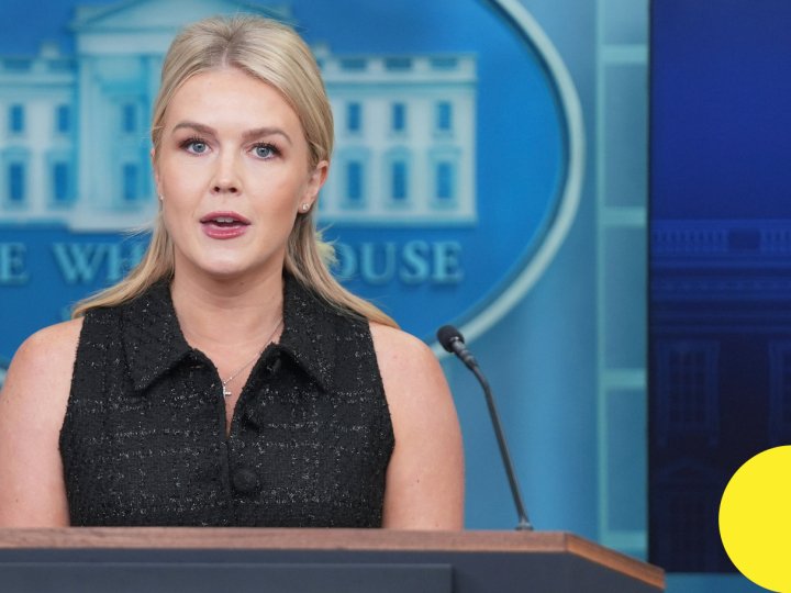 США «не можуть» безкінечно постачати зброю для України, – Левітт