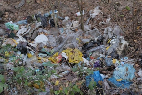 Як руйнується навколишня краса Волині. ФОТО. ВІДЕО