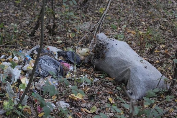 Як руйнується навколишня краса Волині. ФОТО. ВІДЕО