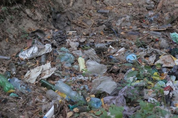 Як руйнується навколишня краса Волині. ФОТО. ВІДЕО