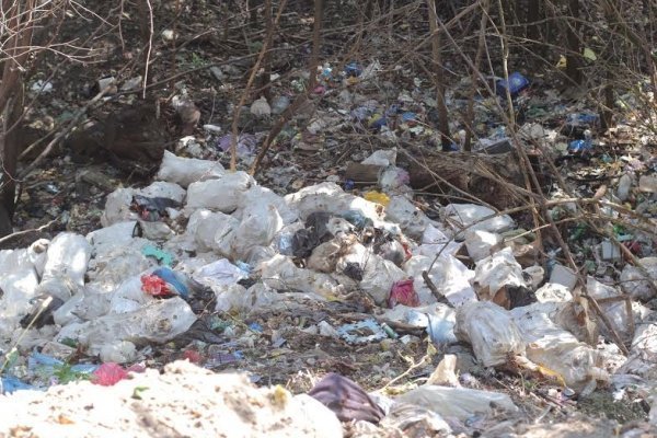 Як руйнується навколишня краса Волині. ФОТО. ВІДЕО