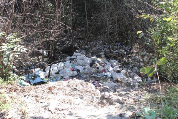 Як руйнується навколишня краса Волині. ФОТО. ВІДЕО