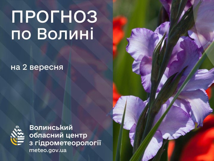 Якою буде погода у Луцьку та на Волині у вівторок, 2 вересня