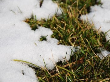 Погода на найближчі дні: українцям обіцяють потепління із снігом та дощем