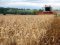 В Україні та світі прогнозують рекордне збільшення врожаю зернових 