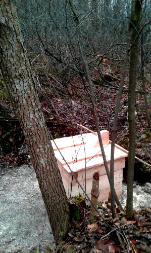 На Волині у лісі облаштували джерело