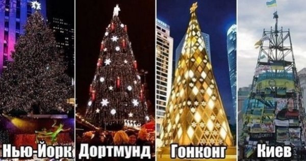 «Йолка» на Євромайдані стала зіркою інтернету. ФОТО