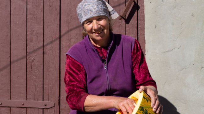 Як на Волині заробляють на гарбузах. ВІДЕО