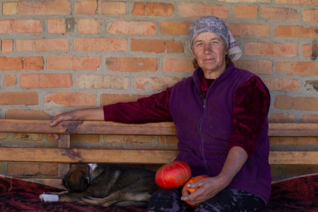 Як на Волині заробляють на гарбузах. ВІДЕО