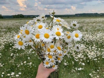 Добрі новини від ВолиньPost за 29 червня 