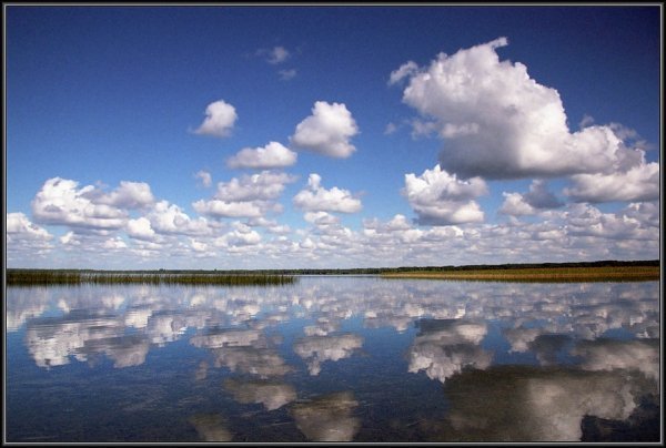 Фотовиставка Тараса Цибуха