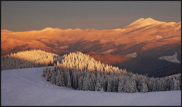 Фотовиставка Тараса Цибуха