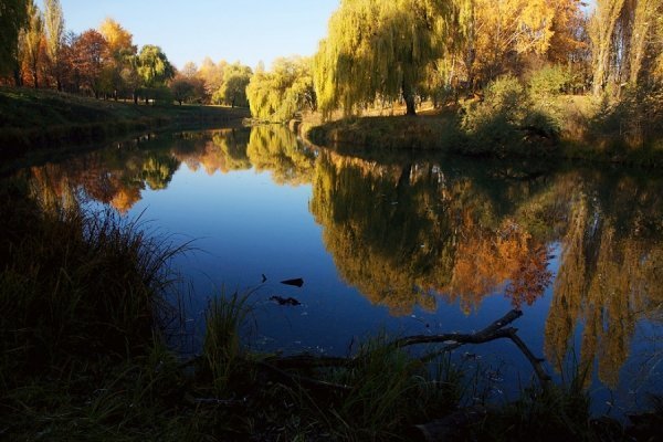 Фотовиставка Тараса Цибуха