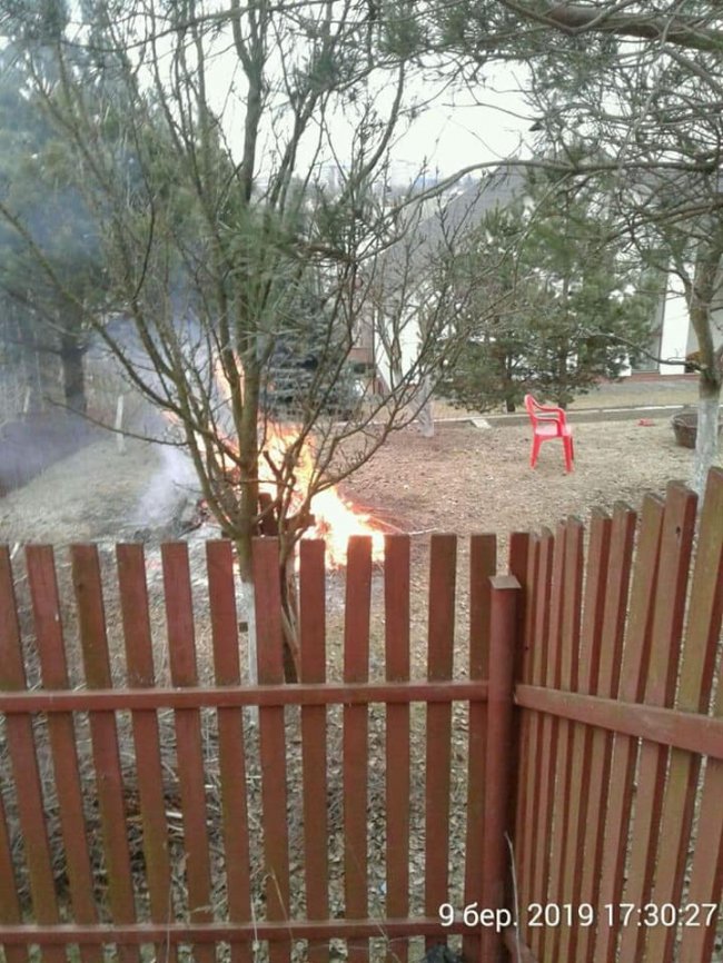 У Луцьку спіймали паліїв сухих гілок. ФОТО