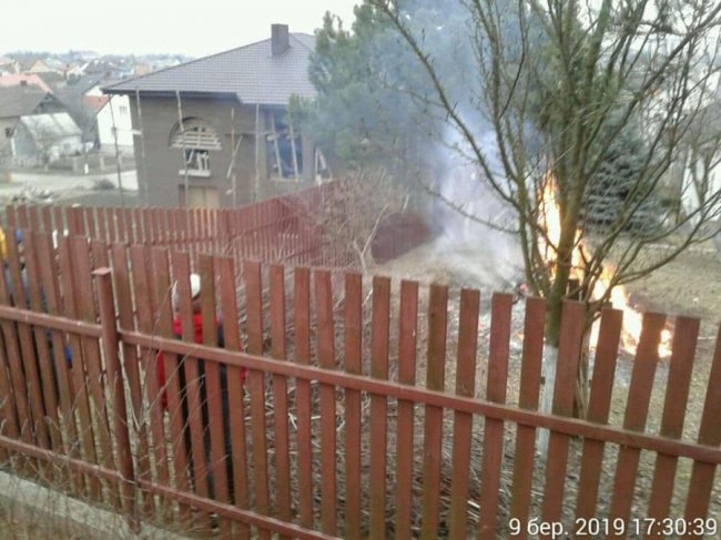 У Луцьку спіймали паліїв сухих гілок. ФОТО