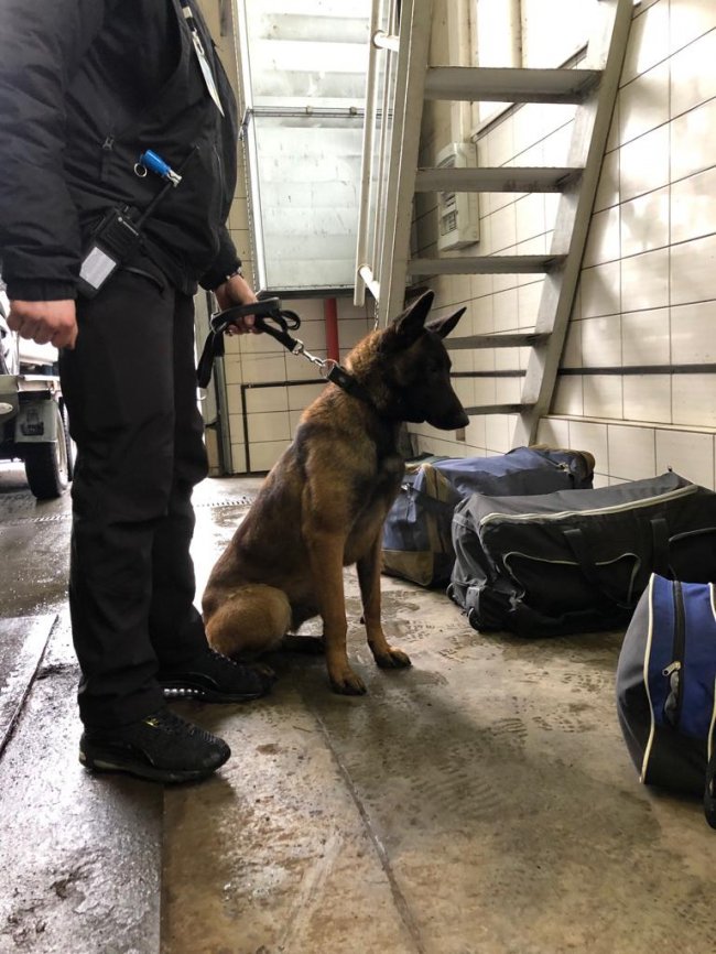 Волинянин у шкарпетці хотів перевезти через кордон наркотики. ФОТО