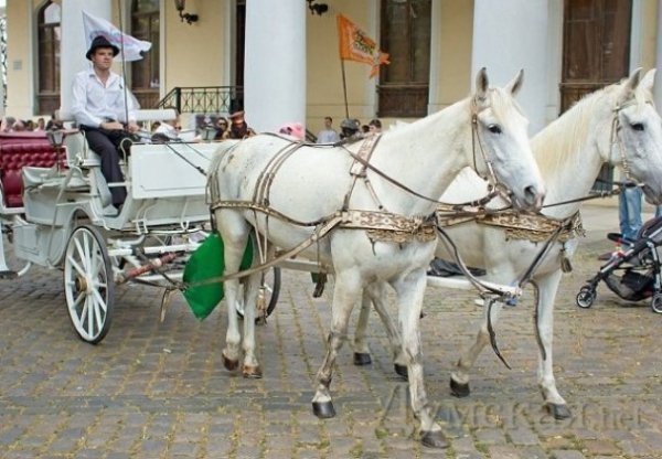 Парад дитячих візків в Одесі. ФОТО