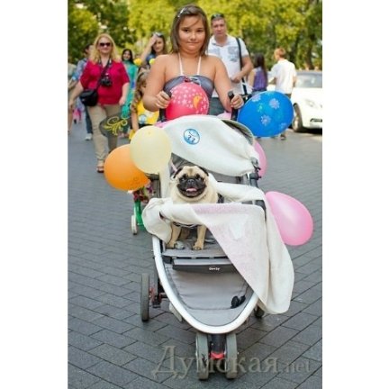 Парад дитячих візків в Одесі. ФОТО